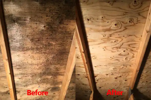 water damage restoration service Moriches